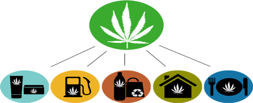 Utilizzi della Canapa