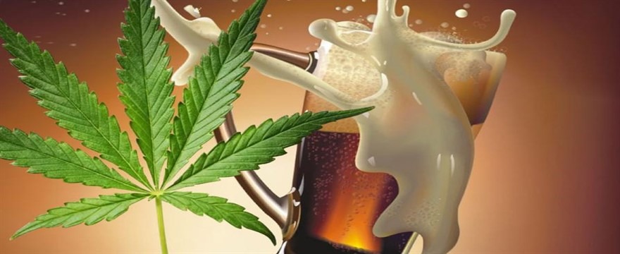 Cannabis o alcool: quale sostanza fa più male?
