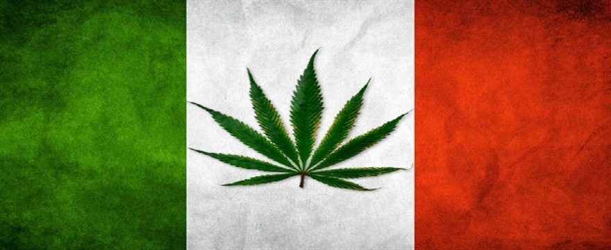 La Storia recente della Legalizzazione della Cannabis in Italia