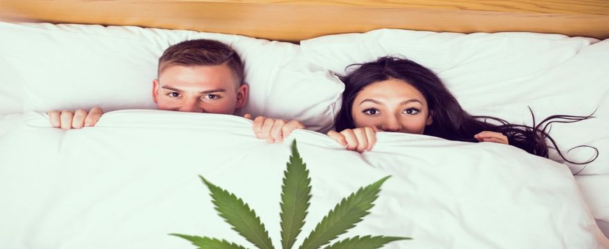 Sesso e CBD: gli effetti