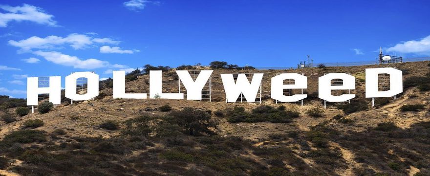 Hollyweed: la droga e le dipendenze delle star di Hollywood