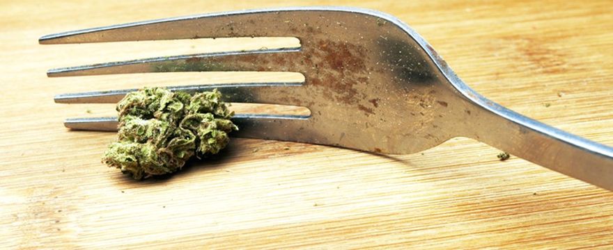 Cannabis in cucina le ricette