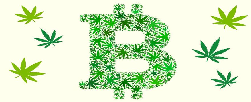 Cannabis e la tecnologia Blockchain