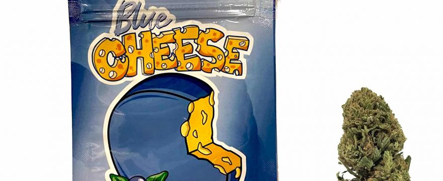 Blue Cheese by Just Hemp