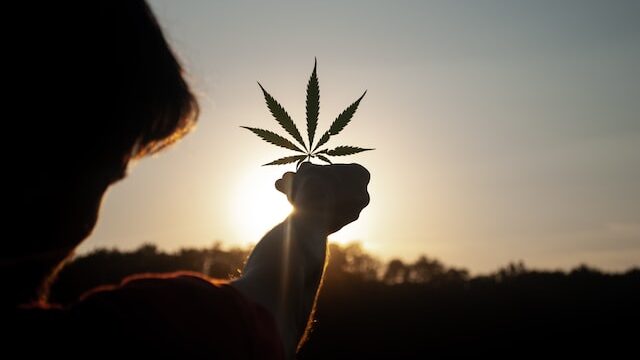 Legalizzazione Cannabis: qualcosa si muove a Bruxelles