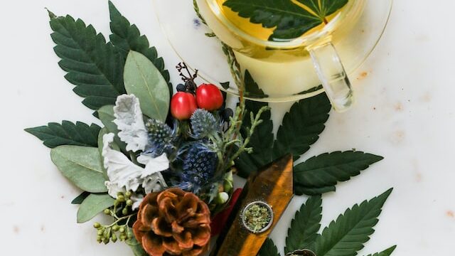 Arriva il cbd anche in cucina